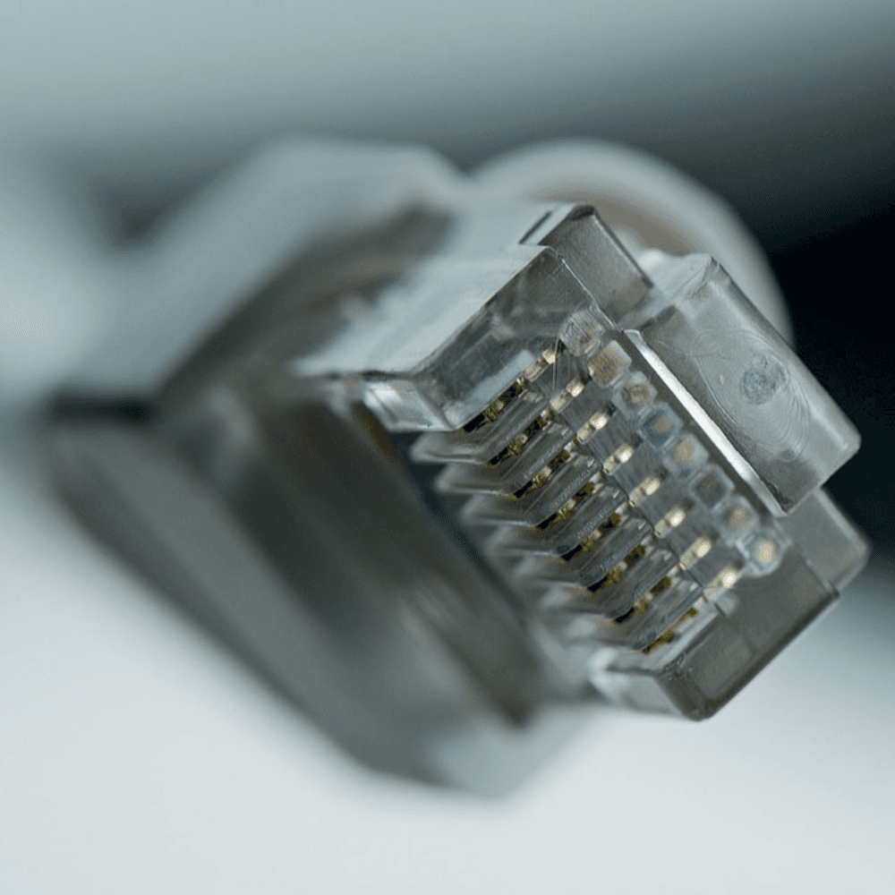 The Journey of NFTs Through the Cycles