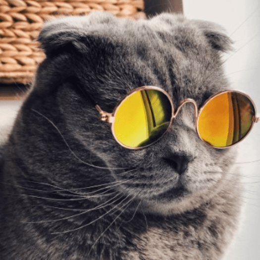 Two Ways Block Builders Can Add Value and Improve User Experience